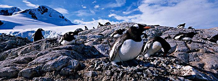 FocusEntertainment将于与Parasight工作室合作发布《BLACKTAIL》